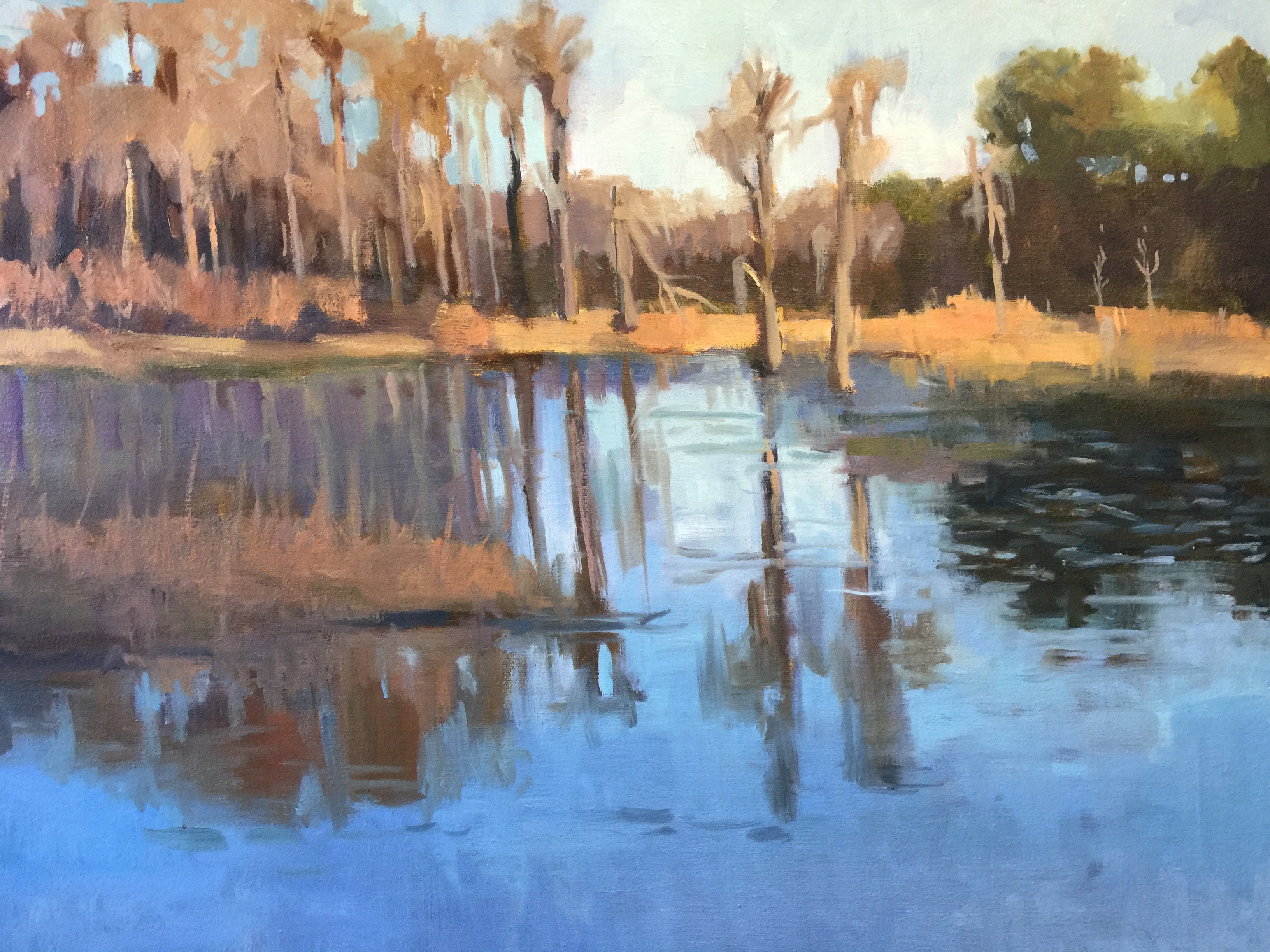 A Day at Lake LaFayette — 20x24 oil on canvas 2016
