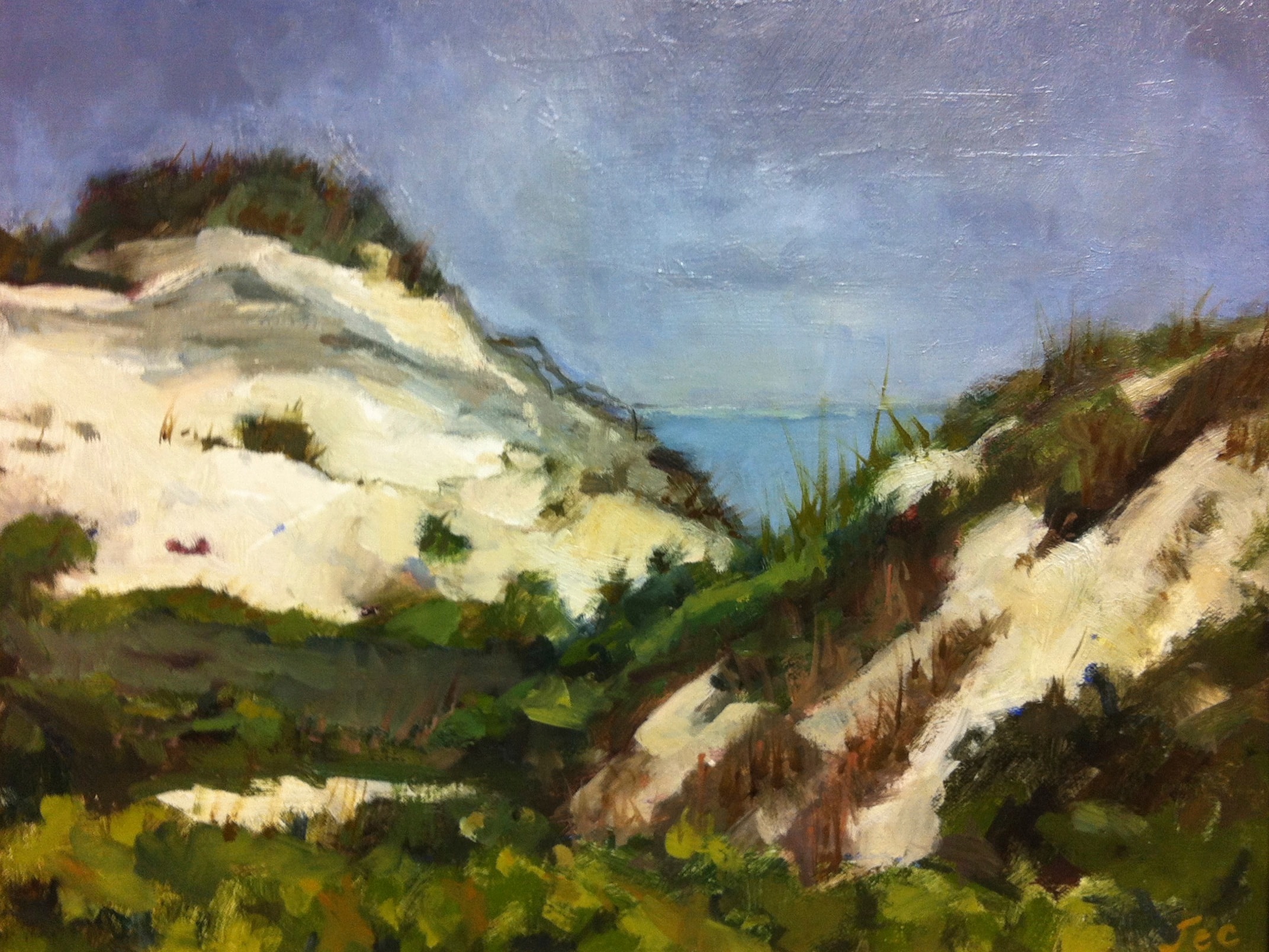 Cape San Blas — 12x16 oil on panel 2013
