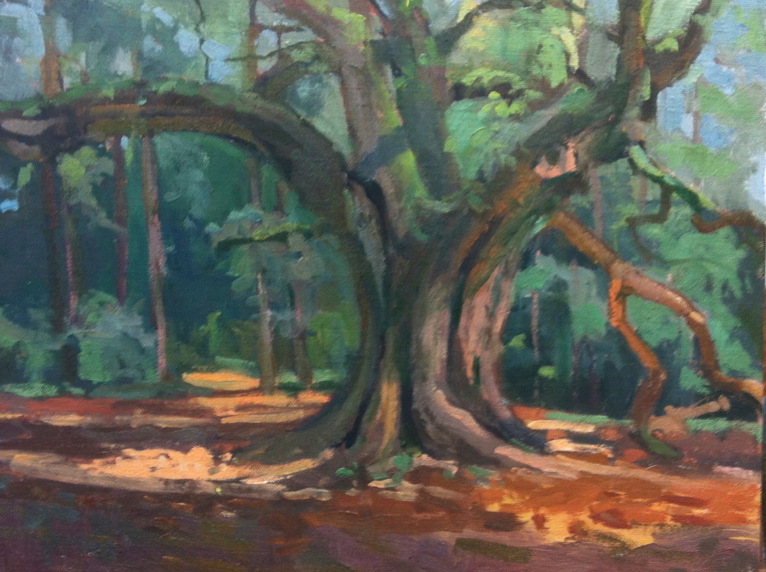 Lichgate Oak — 12x16 oil on panel 2014