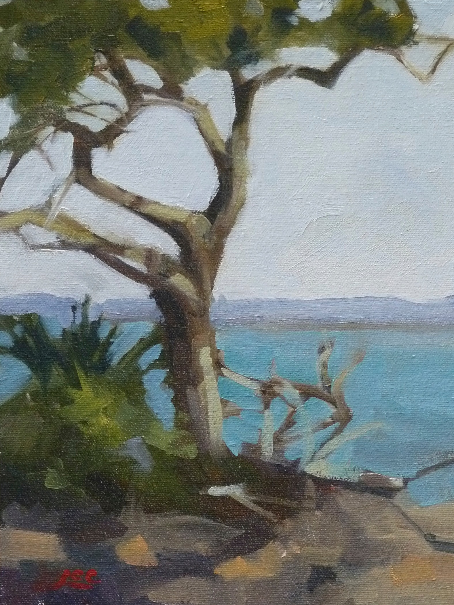 Millender Tree — 12x9 oil on panel 2015