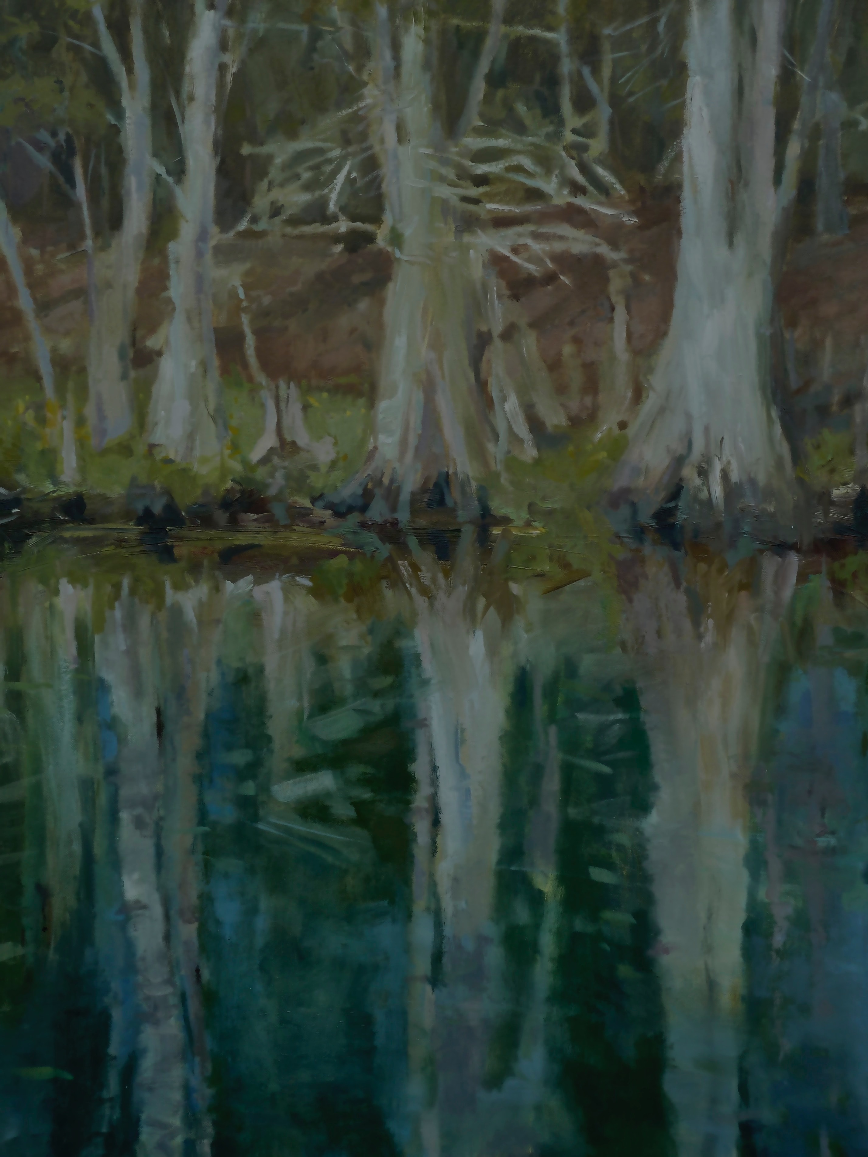 Mirrored Reflections at Manatee Springs — 24x18 oil on canvas 2012