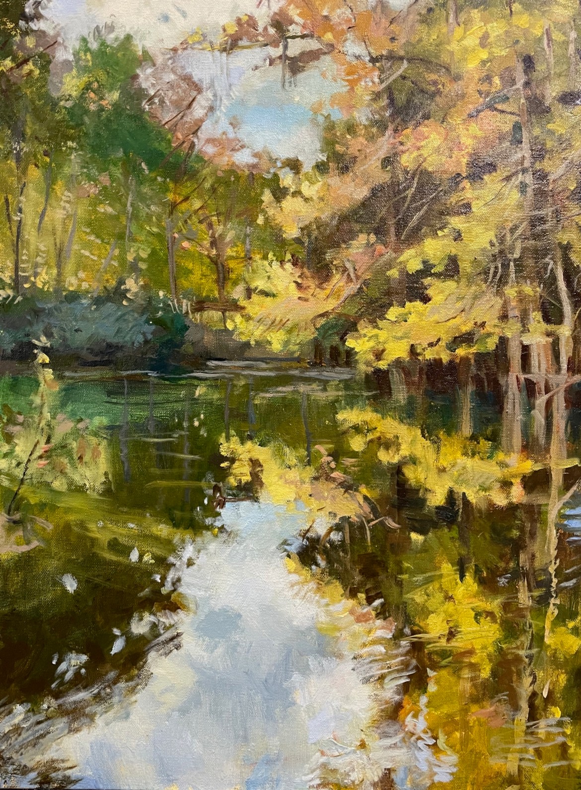 Fall at Manatee Springs
