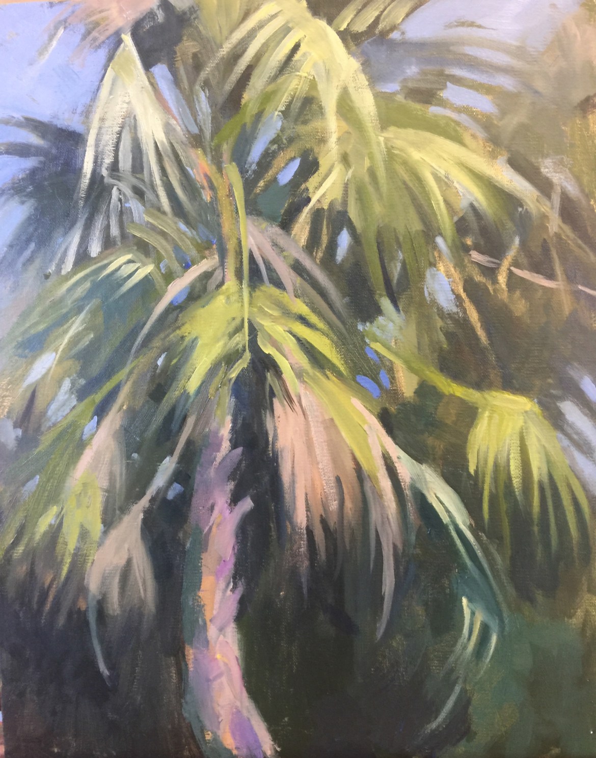 Florida Palm